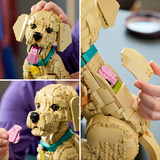 LEGO Iconos cachorro de Golden Retriever, Juegos de construcción 