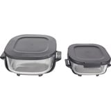 Ninja CRISPi 4 en 1 freidora de aire caliente portátil de vidrio "Salbei" gris-verde/Transparente