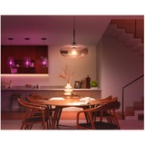 Philips Hue Bombilla inteligente A67 - E27 - 1600, Lámpara LED Philips Hue White and Color ambiance Bombilla inteligente A67 - E27 - 1600, Bombilla inteligente, Blanco, Bluetooth/Zigbee, LED, E27, 2000 K