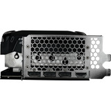 Gainward 3413, Tarjeta gráfica 