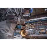 Bosch GWS 12-125 P Professional, 06013A6106, Amoladora angular azul