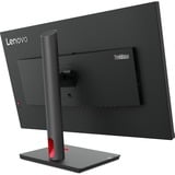 Lenovo ThinkVision P32p-30 pantalla para PC 80 cm (31.5") 3840 x 2160 Pixeles 4K Ultra HD LED Negro, Monitor LED negro, 80 cm (31.5"), 3840 x 2160 Pixeles, 4K Ultra HD, LED, 6 ms, Negro