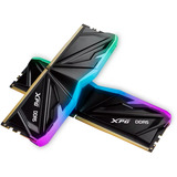 ADATA DIMM 32 GB DDR5-5600 (2x 16 GB) Dual-Kit, Memoria RAM negro