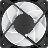 ARCTIC P12 Pro A-RGB LN, Ventilador negro