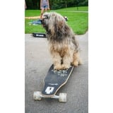 Muuwmi Lights Longboard GLOW ABEC 7 Pablo, Skateboard negro/Verde