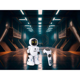 Revell RC Robot "Smart-R", Radiocontrol 