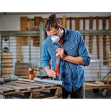 EINHELL TC-MG 250 CE, 4465185, Herramienta multifunción rojo/Negro