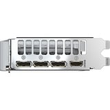 GIGABYTE GeForce RTX 5060 EAGLE OC ICE 8G Tarjeta Gráfica - 8GB GDDR7, 128bit, PCI-E 5.0, 2550 MHz Frecuencia del núcleo, 3 x DisplayPort, 1 x HDMI, GV-N5060EAGLEOC ICE-8GD 128bit, PCI-E 5.0, 2550 MHz Frecuencia del núcleo, 3 x DisplayPort, 1 x HDMI, GV-N5060EAGLEOC ICE-8GD, GeForce RTX 5060, 8 GB, GDDR7, 128 bit, 7680 x 4320 Pixeles, PCI Express 5.0