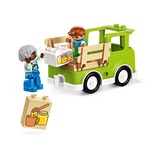 LEGO DUPLO Cuidado de Abejas y Colmenas, Juegos de construcción Juego de construcción, 2 año(s), Plástico, 22 pieza(s), 416 g
