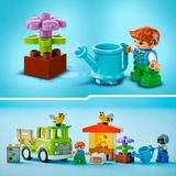 LEGO DUPLO Cuidado de Abejas y Colmenas, Juegos de construcción Juego de construcción, 2 año(s), Plástico, 22 pieza(s), 416 g