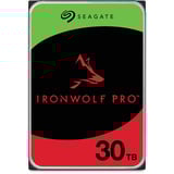 Seagate ST30000NT011, Unidad de disco duro 