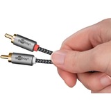 goobay Cable adaptador de audio Plus AUX 3,5mm jack > conector estéreo Cinch negro/Plateado