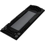 ASUS ProArt PA40SU SSD Enclosure, Caja de unidades negro