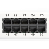 Digitus Panel de parcheo CAT 3 ISDN, sin blindaje, 50 puertos, Patch Panel gris