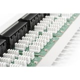 Digitus Panel de parcheo CAT 3 ISDN, sin blindaje, 50 puertos, Patch Panel gris