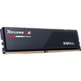 G.Skill F5-6800J3445G16GX2-RS5K, Memoria RAM negro