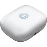 Motorola Moto Buds Auriculares Inalámbrico Dentro de oído Llamadas/Música/Deporte/Uso diario Bluetooth Azul, Auriculares con micrófono celeste, Inalámbrico, Llamadas/Música/Deporte/Uso diario, Auriculares, Azul