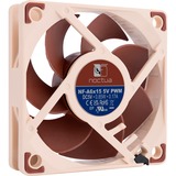 Noctua Noctua NF-A6x15 5V PWM, Ventilador 