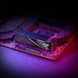 ADATA LANCER BLADE módulo de memoria 16 GB 1 x 16 GB DDR5 ECC, Memoria RAM negro, 16 GB, 1 x 16 GB, DDR5, 6000 MHz, 288-pin DIMM, Negro