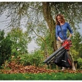 EINHELL VENTURRO 18/210, Aspirador/soplador rojo/Negro