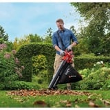 EINHELL VENTURRO 18/210, Aspirador/soplador rojo/Negro