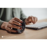 Evoluent Evoluent D Small Wireless ratón Oficina mano derecha RF inalámbrico Laser 3200 DPI negro/Plateado, mano derecha, Diseño vertical, Laser, RF inalámbrico, 3200 DPI, Negro