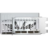 GIGABYTE AORUS GeForce RTX 5090 STEALTH ICE 32G Tarjeta Gráfica - 32GB GDDR7, 512bit, PCI-E 5.0, 2655MHz Frecuencia del núcleo, 3 x DP 2.1a, 1 x HDMI 2.1b, NVIDIA DLSS 4, GV-N5090AORUSST ICE-32GD 512bit, PCI-E 5.0, 2655MHz Frecuencia del núcleo, 3 x DP 2.1a, 1 x HDMI 2.1b, NVIDIA DLSS 4, GV-N5090AORUSST ICE-32GD, GeForce RTX 5090, 32 GB, GDDR7, 512 bit, 7680 x 4320 Pixeles, PCI Express 5.0