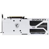 MSI V531-062R, Tarjeta gráfica 