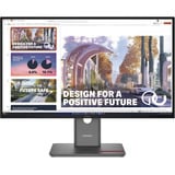 Lenovo ThinkVision P24QD-40 Monitor, Monitor LED negro, 60,5 cm (23.8"), 2560 x 1440 Pixeles, Quad HD, LCD, 6 ms, Negro