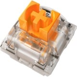 Razer Orange Switch-Set, Interruptor de botón naranja/Transparente