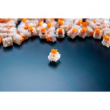 Razer Orange Switch-Set, Interruptor de botón naranja/Transparente