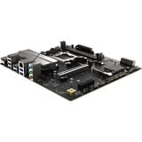 SAPPHIRE 52112-04-40G, Placa base 
