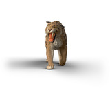 Schleich 15054, Muñecos 