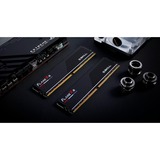 G.Skill F5-6000J4048F24GX2-FX5, Memoria RAM negro