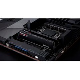 G.Skill F5-6000J4048F24GX2-FX5, Memoria RAM negro