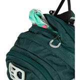 Osprey 10005081, Mochila verde oscuro