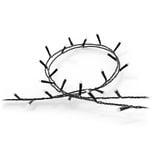 Philips Hue 929003674402, Lichterkette 