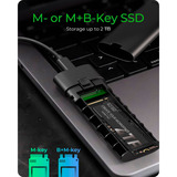 ICY BOX Spade Case 1806, Caja de unidades negro