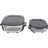 Ninja CRISPi 4 en 1 freidora de aire caliente portátil de vidrio "Stone" gris/Transparente