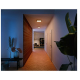 Philips 929003597801, Luz de LED negro