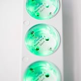 Shelly Regleta Power Strip 4 Gen4 blanco