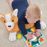 Fisher-Price HJW10 juego educativo, Peluches 0 año(s), Plástico, Multicolor
