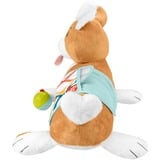 Fisher-Price HJW10 juego educativo, Peluches 0 año(s), Plástico, Multicolor