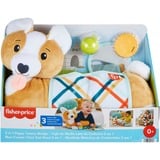 Fisher-Price HJW10 juego educativo, Peluches 0 año(s), Plástico, Multicolor