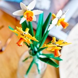 LEGO Narcisos Juguetes de construcción, Juegos de construcción Juego de construcción, 8 año(s), Plástico, 216 pieza(s), 158 g