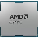 AMD EPYC™ 8324P, Procesador Tray