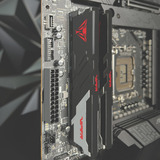 Patriot PVVR548G600C30K, Memoria RAM negro