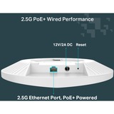 TP-Link Festa F67 Blanco Energía sobre Ethernet (PoE), Punto de acceso 2,4 GHz, 5 GHz