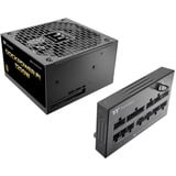 Thermaltake Dockpower FI 1200W, Fuente de alimentación de PC negro
