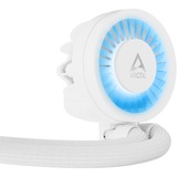 ARCTIC Liquid Freezer III 280 A-RGB, Refrigeración por agua blanco